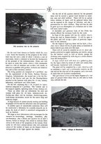 giornale/CFI0364400/1938/unico/00000064