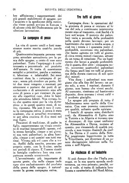 Rivista dell'industria periodico mensile dell'Unione industriale fascista