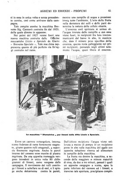 Rivista dell'industria periodico mensile dell'Unione industriale fascista