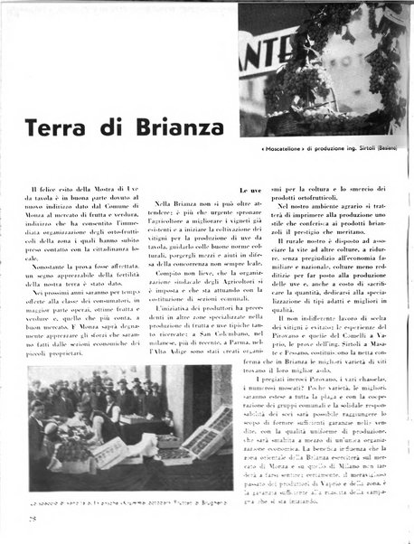 Rivista di Monza rassegna mensile di vita cittadina e bollettino di statistica del comune di Monza