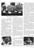 giornale/CFI0364555/1933/unico/00000255