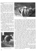 giornale/CFI0364555/1933/unico/00000258