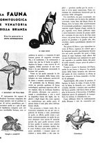 giornale/CFI0364555/1934/unico/00000038