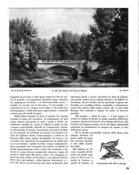 Rivista di Monza rassegna mensile di vita cittadina e bollettino di statistica del comune di Monza