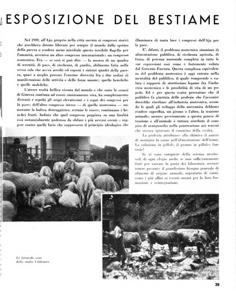 Rivista di Monza rassegna mensile di vita cittadina e bollettino di statistica del comune di Monza