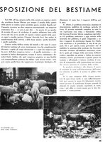 giornale/CFI0364555/1934/unico/00000301