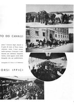 giornale/CFI0364555/1934/unico/00000331