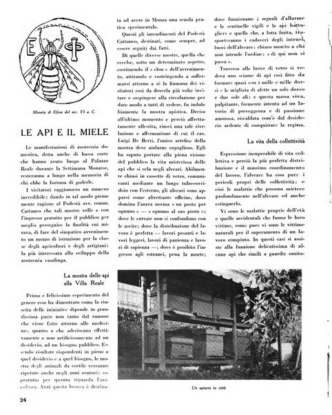 Rivista di Monza rassegna mensile di vita cittadina e bollettino di statistica del comune di Monza