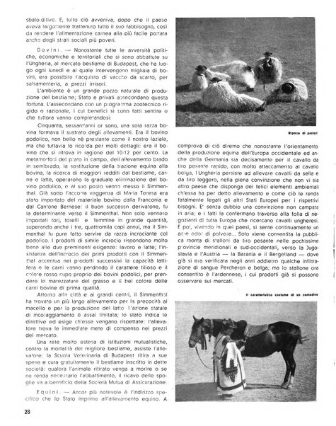 Rivista di Monza rassegna mensile di vita cittadina e bollettino di statistica del comune di Monza