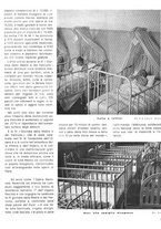 giornale/CFI0364555/1936/unico/00000509