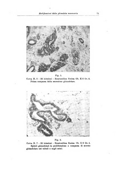 Rivista di patologia femminile e terapia