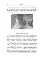 giornale/CFI0364572/1938/unico/00000044
