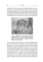 giornale/CFI0364572/1938/unico/00000072