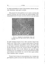 giornale/CFI0364572/1938/unico/00000092