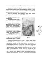 giornale/CFI0364572/1938/unico/00000109
