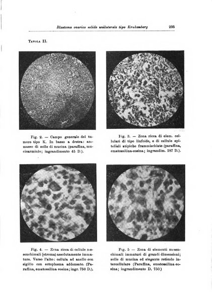 Rivista di patologia femminile e terapia