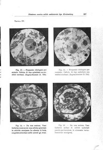 Rivista di patologia femminile e terapia