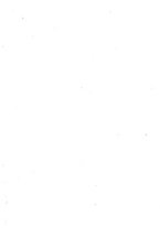 giornale/CFI0364708/1927/unico/00000003