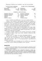 giornale/CFI0364708/1927/unico/00000397