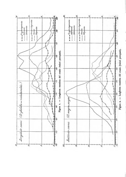 Rivista italiana di statistica