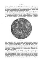 giornale/CFI0364728/1938/unico/00000109