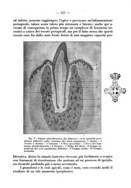 Rivista italiana di stomatologia periodico mensile