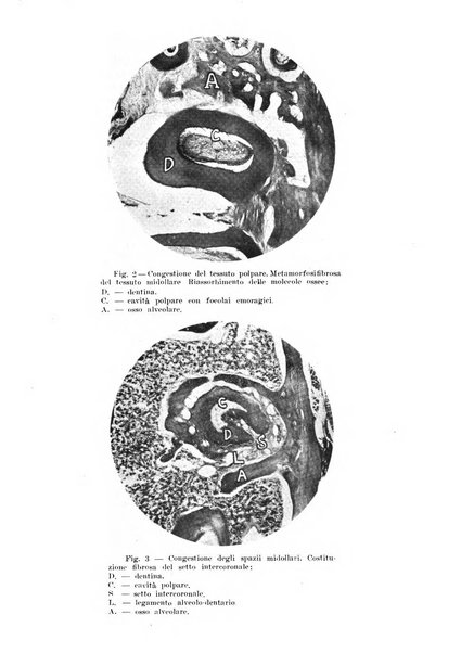 Rivista italiana di stomatologia periodico mensile