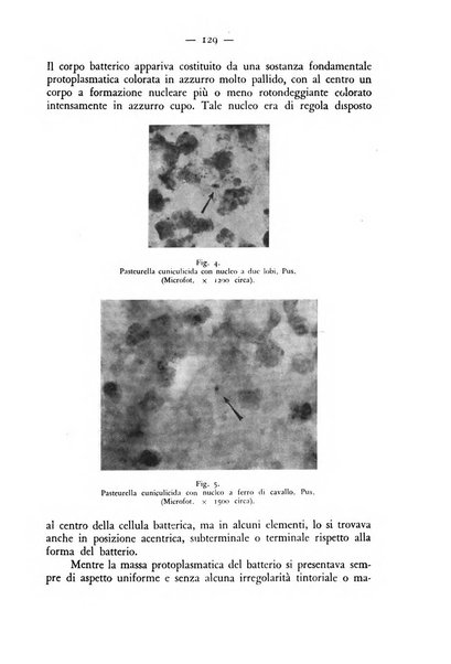 Rivista militare di medicina veterinaria Periodico bimestrale