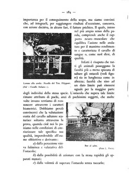 Rivista militare di medicina veterinaria Periodico bimestrale