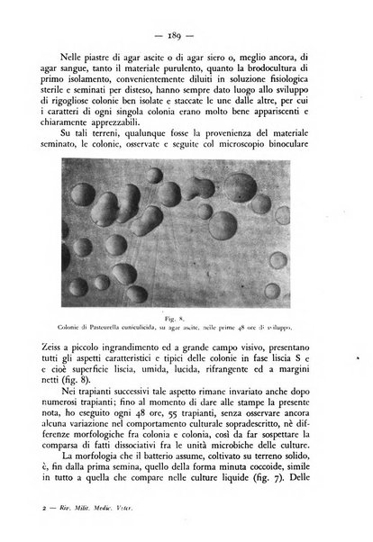 Rivista militare di medicina veterinaria Periodico bimestrale