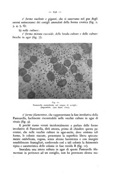 Rivista militare di medicina veterinaria Periodico bimestrale