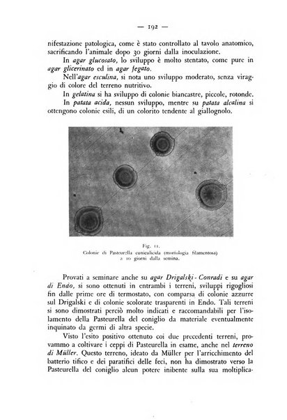 Rivista militare di medicina veterinaria Periodico bimestrale