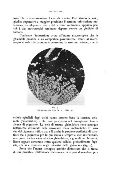 Rivista militare di medicina veterinaria Periodico bimestrale