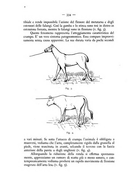 Rivista militare di medicina veterinaria Periodico bimestrale