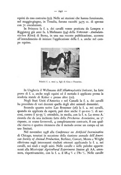 Rivista militare di medicina veterinaria Periodico bimestrale