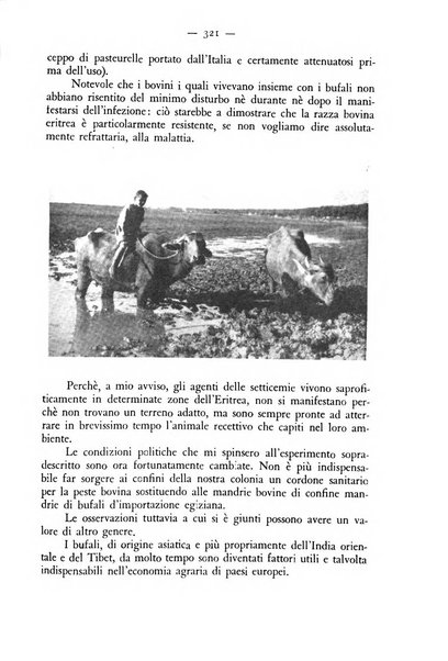 Rivista militare di medicina veterinaria Periodico bimestrale