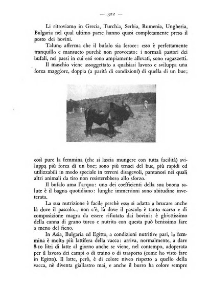 Rivista militare di medicina veterinaria Periodico bimestrale