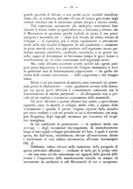 Rivista militare di medicina veterinaria Periodico bimestrale