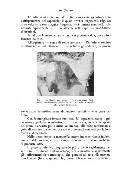 Rivista militare di medicina veterinaria Periodico bimestrale