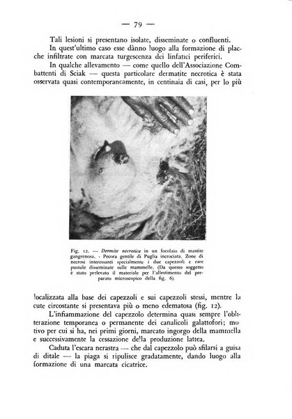 Rivista militare di medicina veterinaria Periodico bimestrale