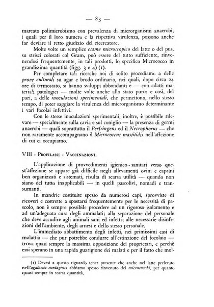 Rivista militare di medicina veterinaria Periodico bimestrale