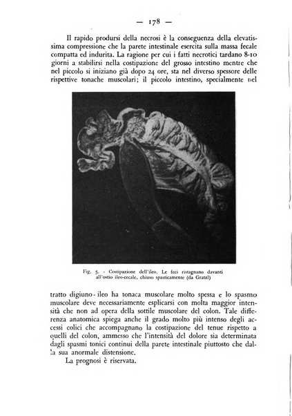 Rivista militare di medicina veterinaria Periodico bimestrale