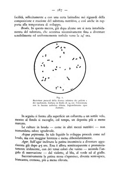 Rivista militare di medicina veterinaria Periodico bimestrale