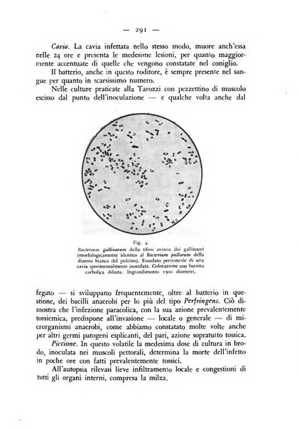 Rivista militare di medicina veterinaria Periodico bimestrale