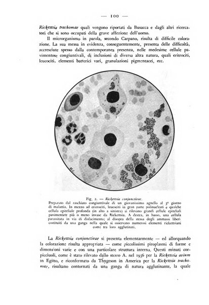 Rivista militare di medicina veterinaria Periodico bimestrale