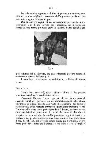 Rivista militare di medicina veterinaria Periodico bimestrale