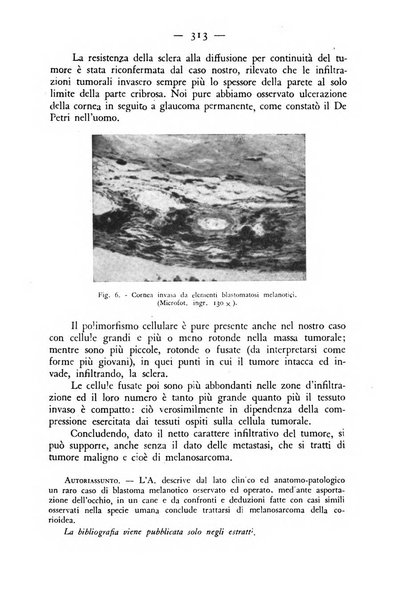 Rivista militare di medicina veterinaria Periodico bimestrale