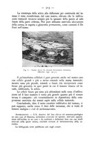 giornale/CFI0364772/1942/unico/00000263