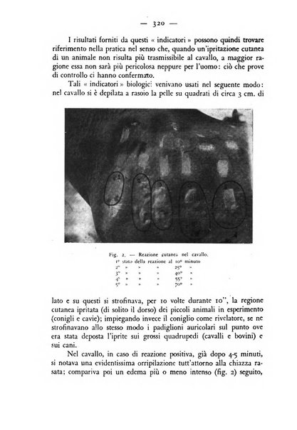 Rivista militare di medicina veterinaria Periodico bimestrale