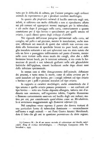 Rivista militare di medicina veterinaria Periodico bimestrale